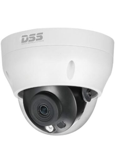 Camera IP 2MP DAHUA DS2230RDIP-S2