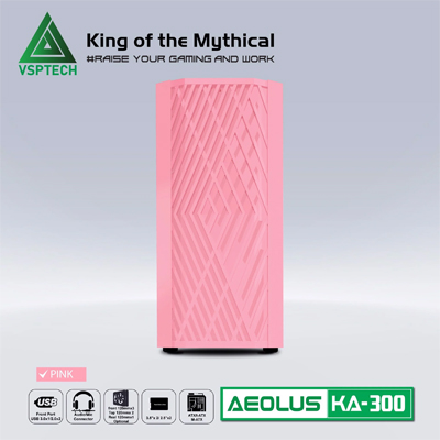 Case KA-300 Hồng
