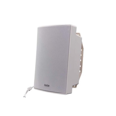 Loa treo tường IP S11