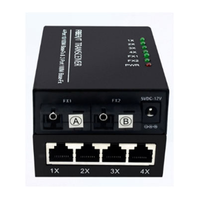 Chuyển tiếp quang 2F4E (Gigabit)
