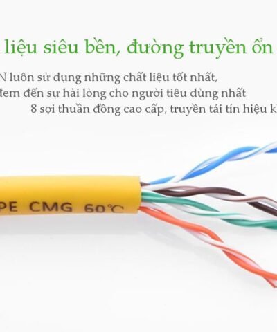Cáp Mạng Đúc Sẵn Cat5e 15M Ugreen 60815