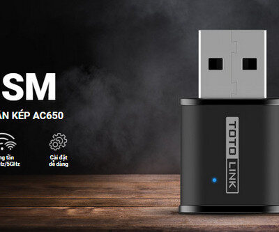 Card Mạng không dây USB Totolink A650USM