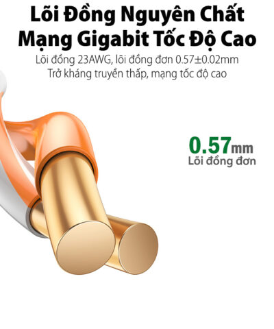 Cáp Mạng UTP CAT6 Dài 305M Ugreen 11259