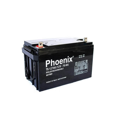 Ắc quy khô 12V-7AH RISCO RM432PK