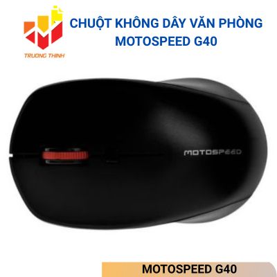 CHUỘT KHÔNG DÂY VĂN PHÒNG MOTOSPEED G40