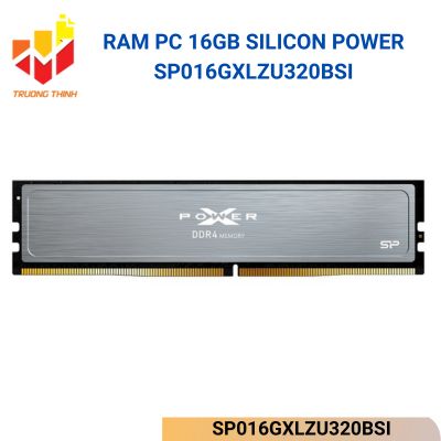 SP016GXLZU320BSI