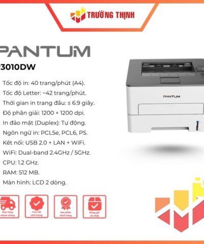 Pantum P3010DW