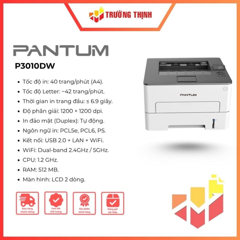 Máy in A4 Laser đen trắng 2 mặt Pantum P3010DW