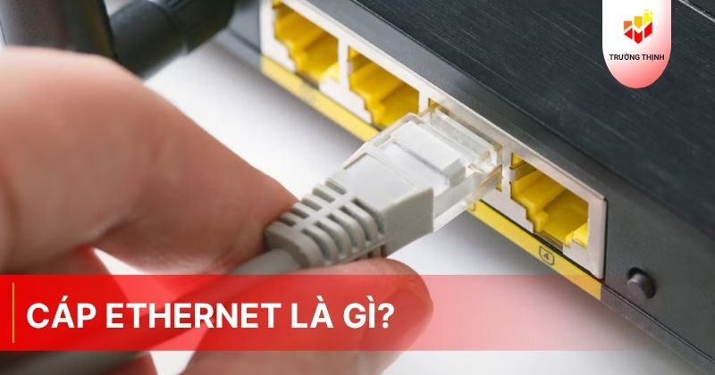 Cáp Ethernet là gì? Các loại cáp Ethernet phổ biến hiện nay