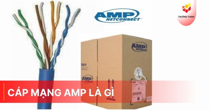 Cáp mạng AMP là gì? Lý do nên sử dụng cáp mạng AMP