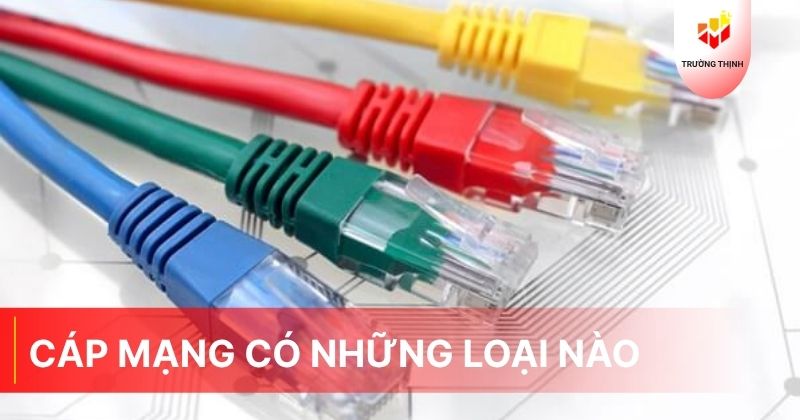 Cáp mạng có những loại nào phổ biến hiện nay