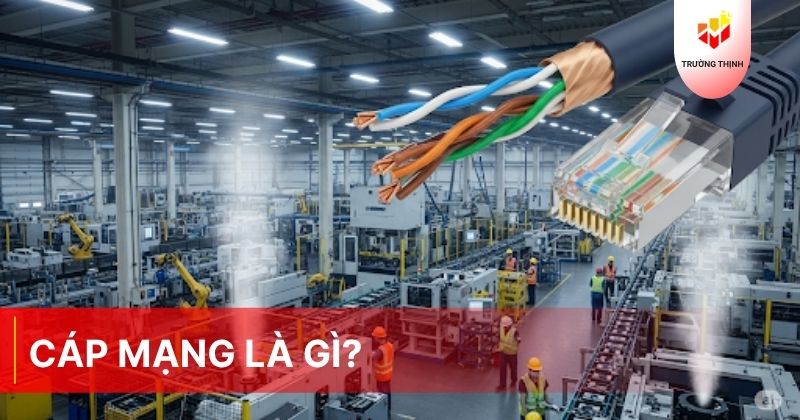 Dây cáp mạng là gì? Cấu tạo và ứng dụng của cáp mạng