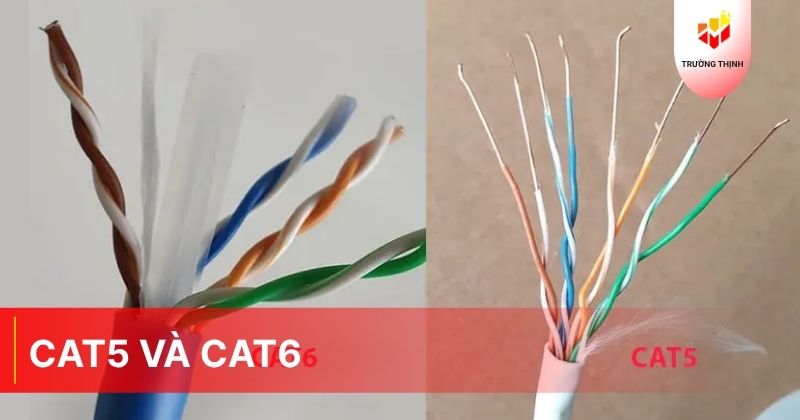 So sánh sự khác biệt giữa dây mạng Cat5 và Cat6