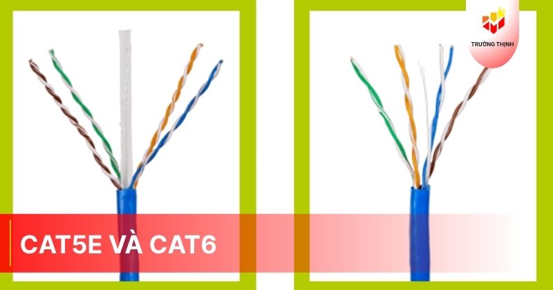So sánh sự khác nhau giữa Cat5e và Cat6: Nên dùng loại nào?