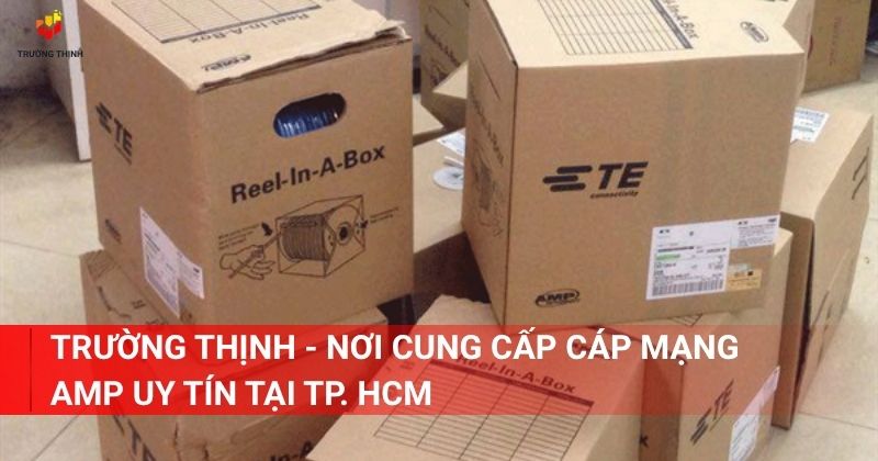 Trường Thịnh - Nơi cung cấp cáp mạng AMP uy tín tại TP. HCM