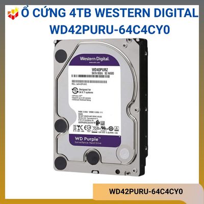 Ổ cứng 4TB Surveillance Western Digital WD42PURU-64C4CY0