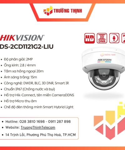 Camera Dome IP Hikvision 2MP DS-2CD1121G2-LIU