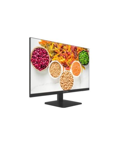 Màn hình Hikvision DS-D5027F2-1P2 27 inch IPS 100Hz