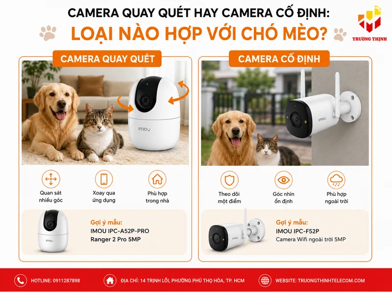 Camera quay quét hay camera cố định: Loại nào hợp với chó mèo?